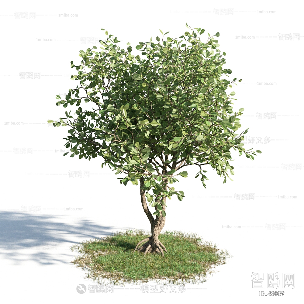 Modern Tree/shrub/grass