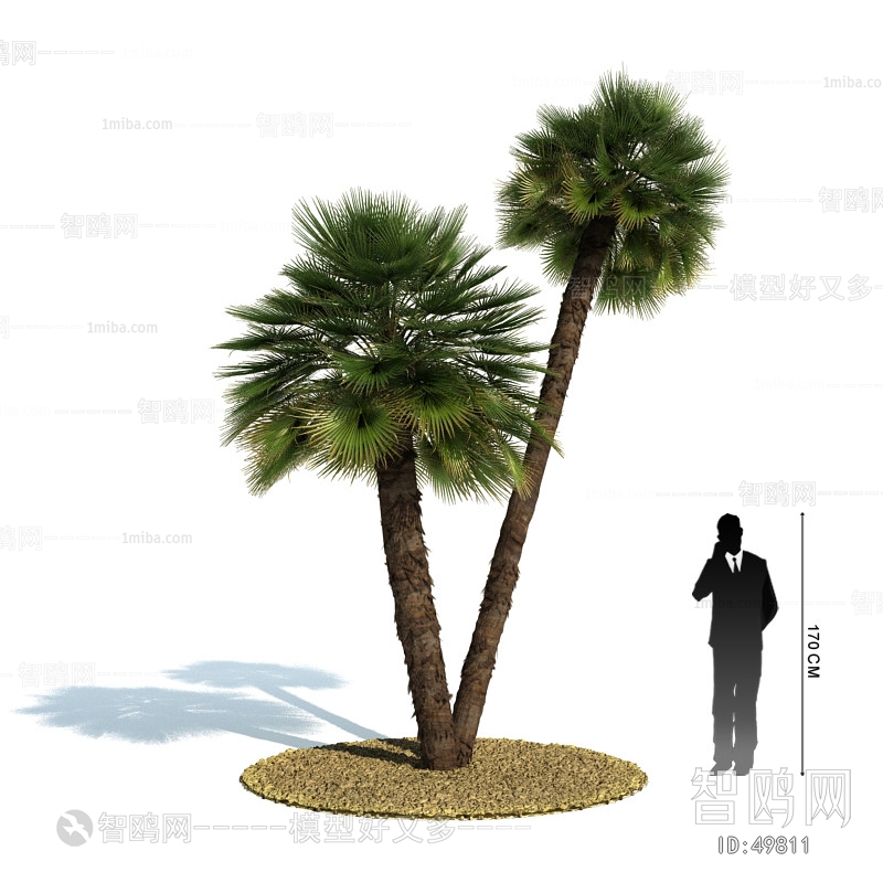 Modern Tree/shrub/grass