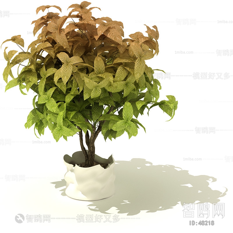 Modern Potted Green Plant