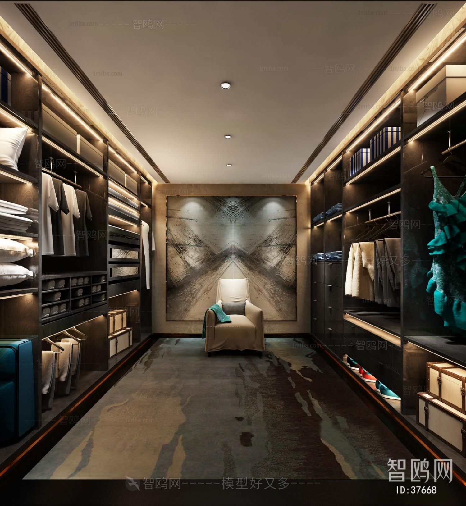 Modern Clothes Storage Area