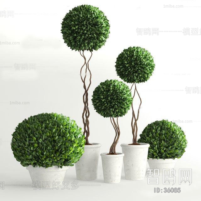 Modern Potted Green Plant