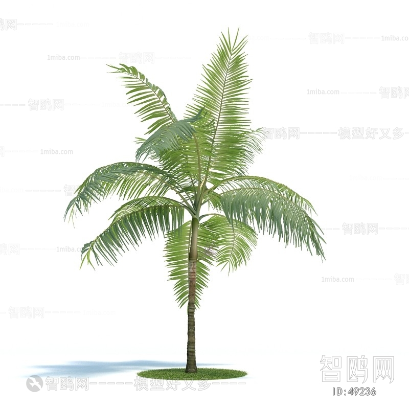 Modern Tree/shrub/grass