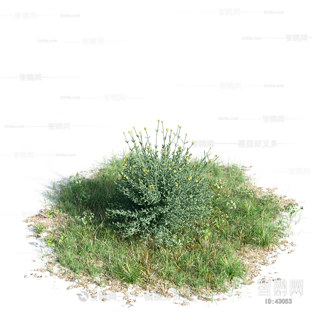 Modern Tree/shrub/grass