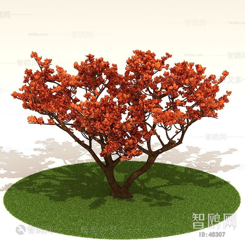 Modern Tree/shrub/grass