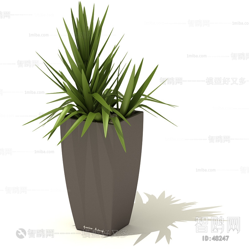 Modern Potted Green Plant