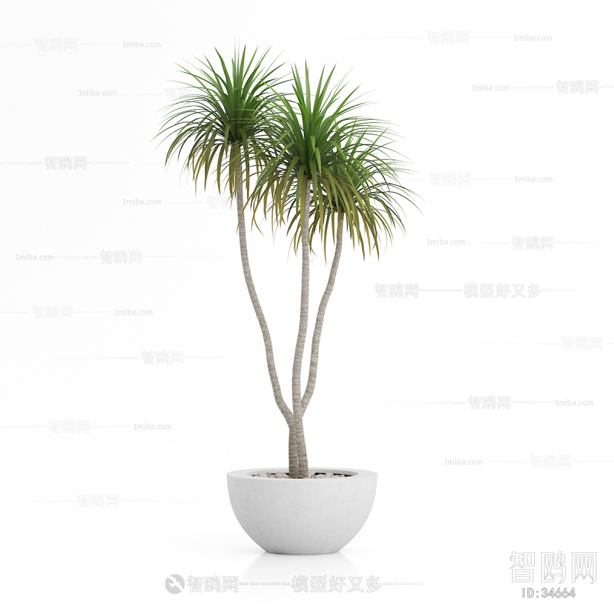 Modern Potted Green Plant