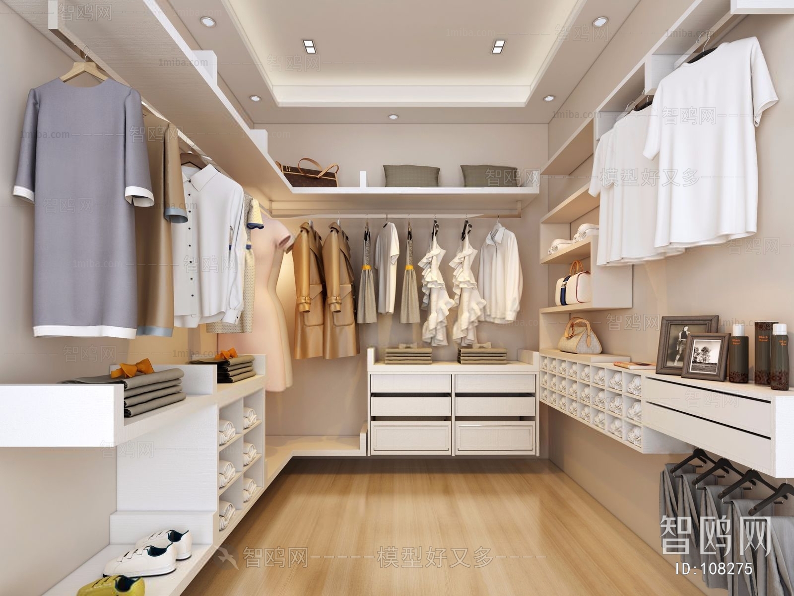 Modern Clothes Storage Area