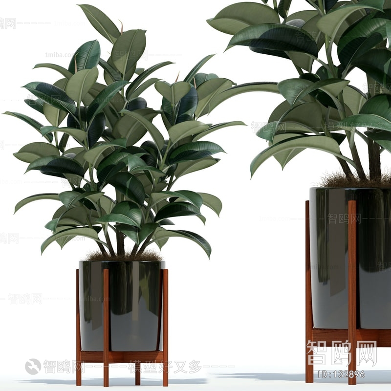 Modern Potted Green Plant