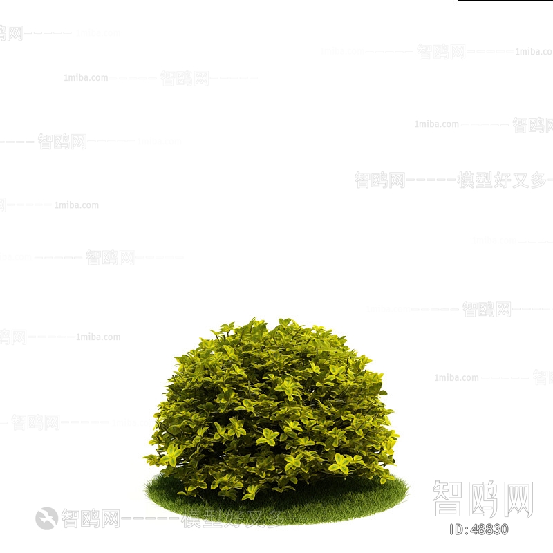 Modern Tree/shrub/grass