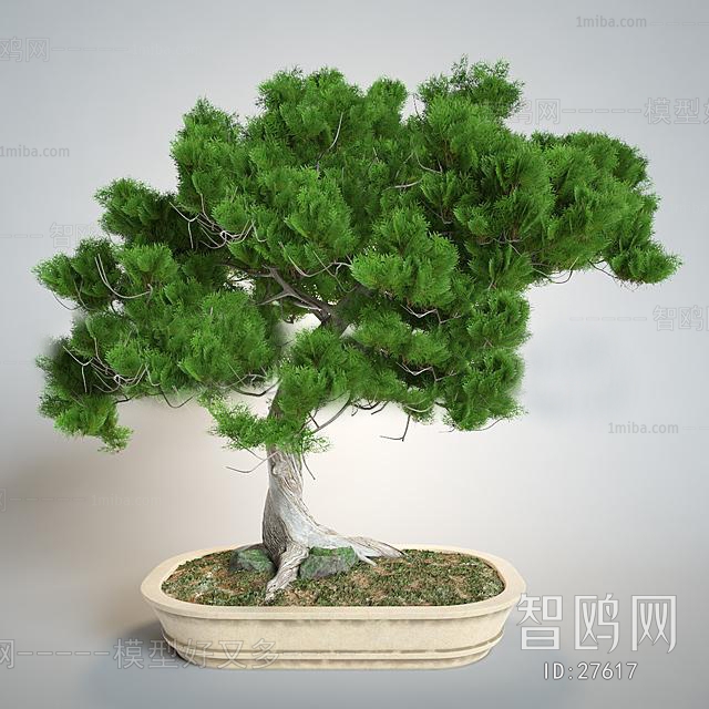 New Chinese Style Potted Green Plant