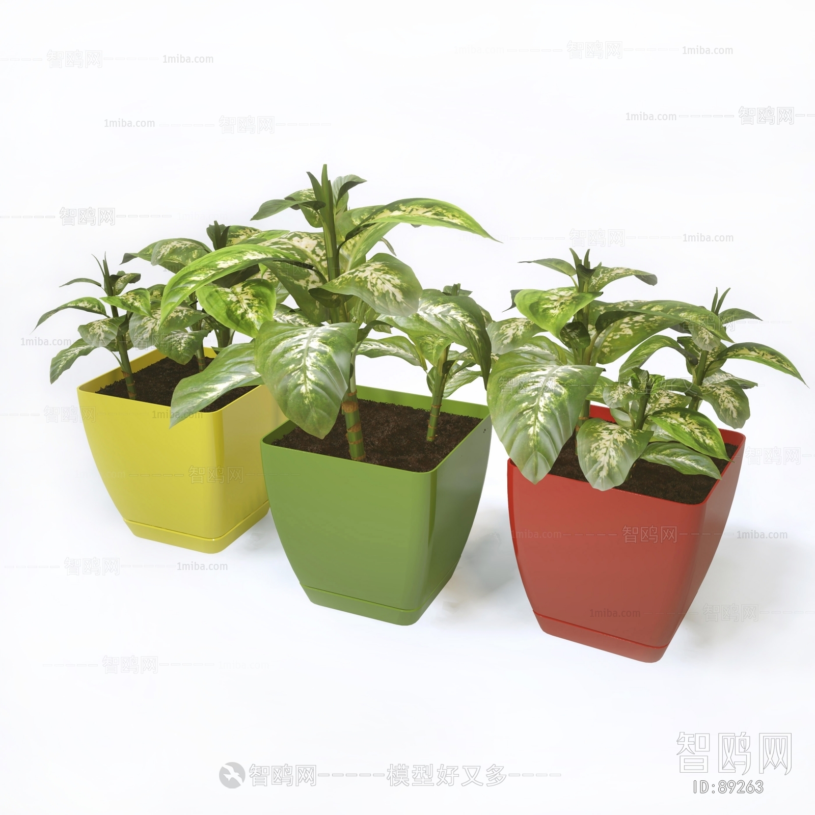 Modern Potted Green Plant