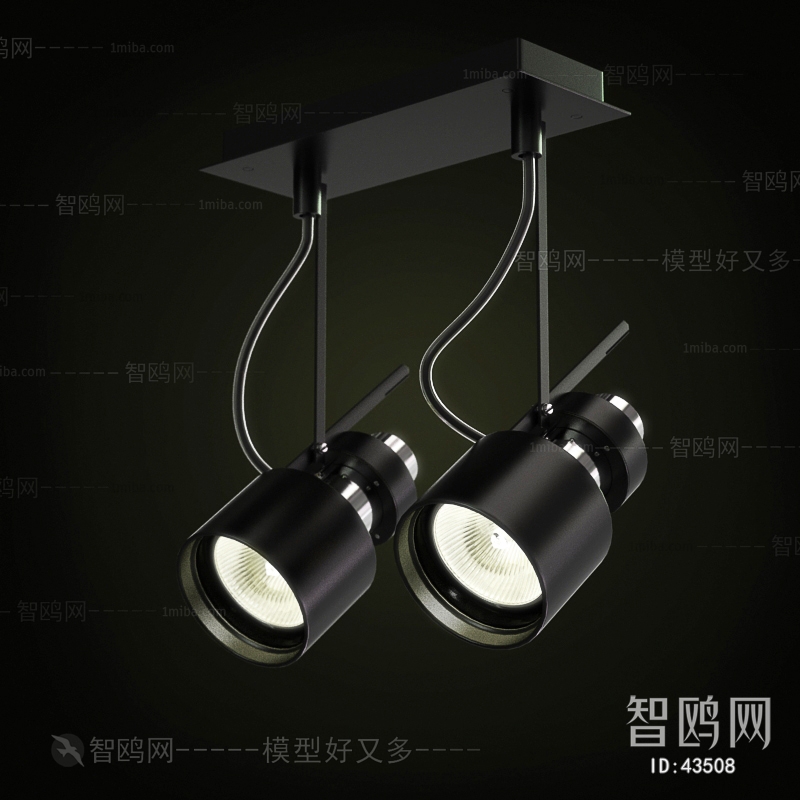 Modern Downlight Spot Light