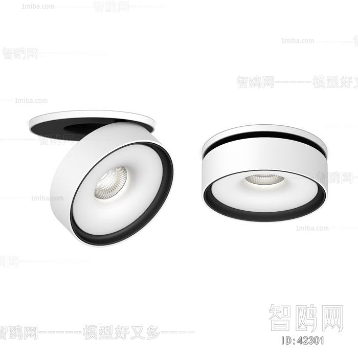 Modern Downlight Spot Light