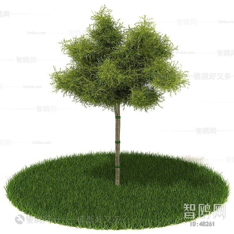 Modern Tree/shrub/grass