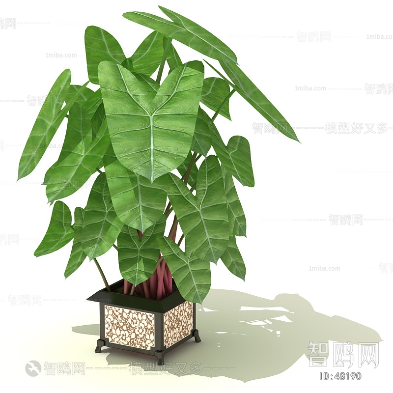 Modern Potted Green Plant