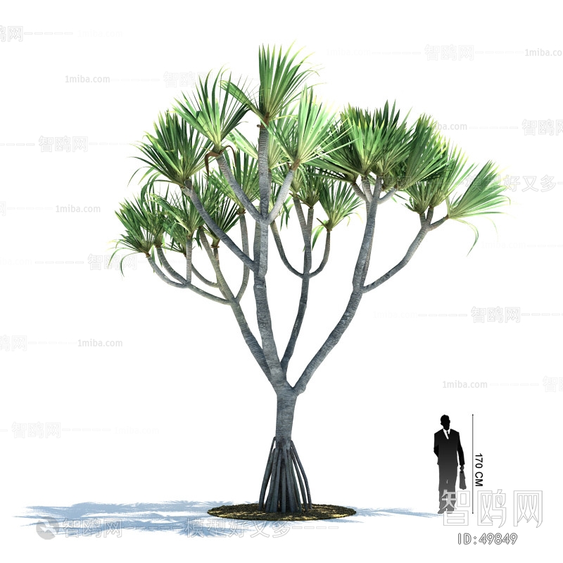 Modern Tree/shrub/grass