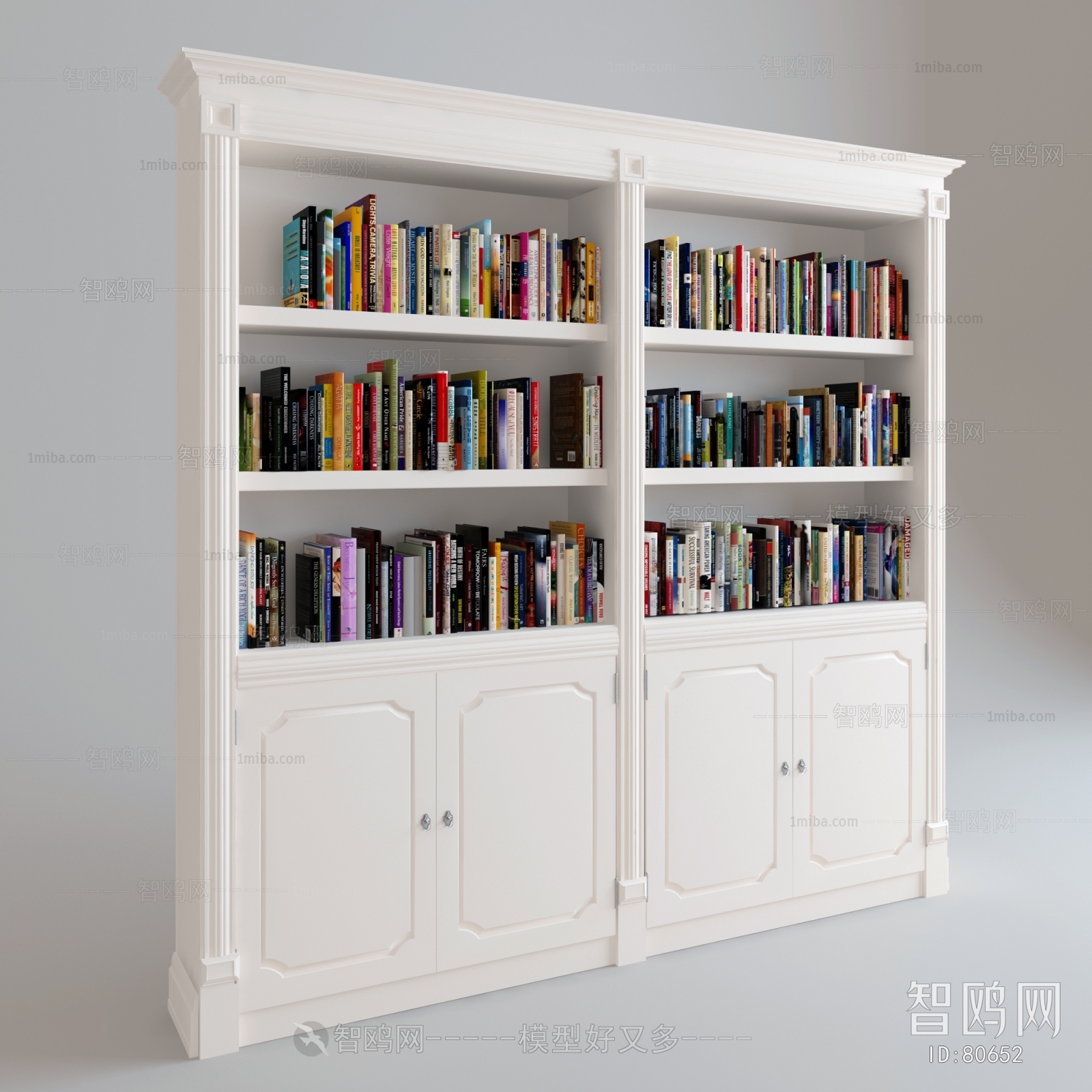 European Style Bookcase