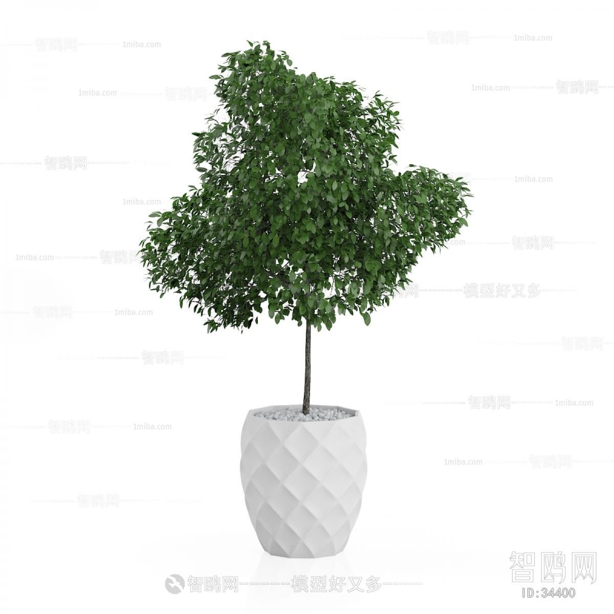 Modern Potted Green Plant