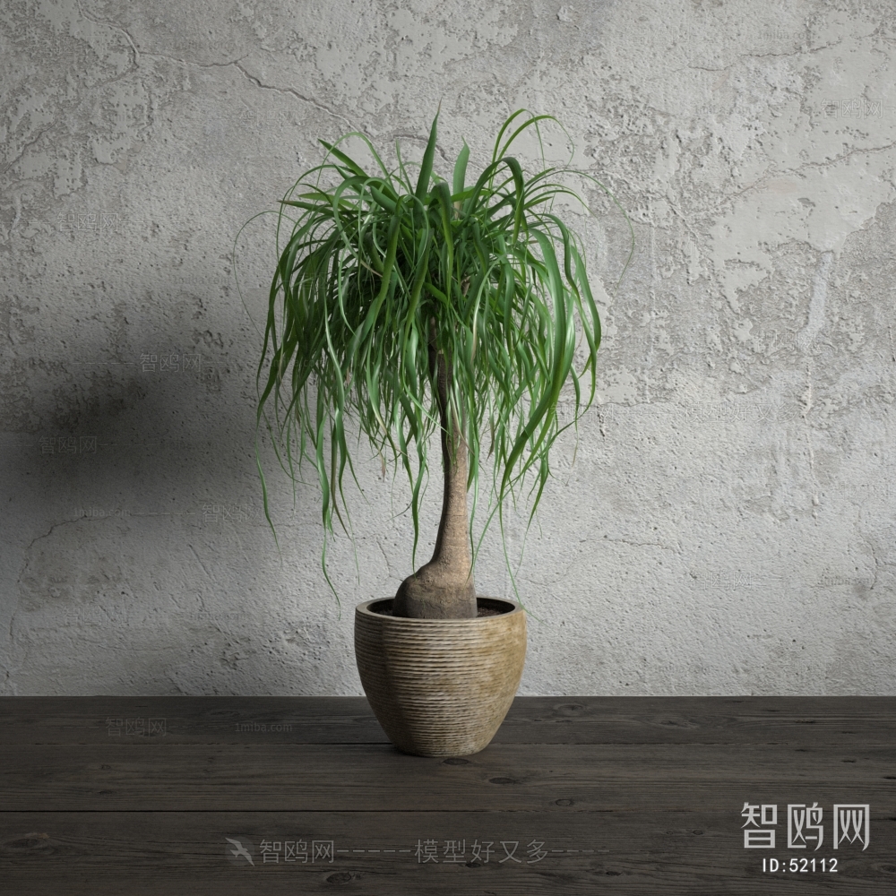 Modern Potted Green Plant