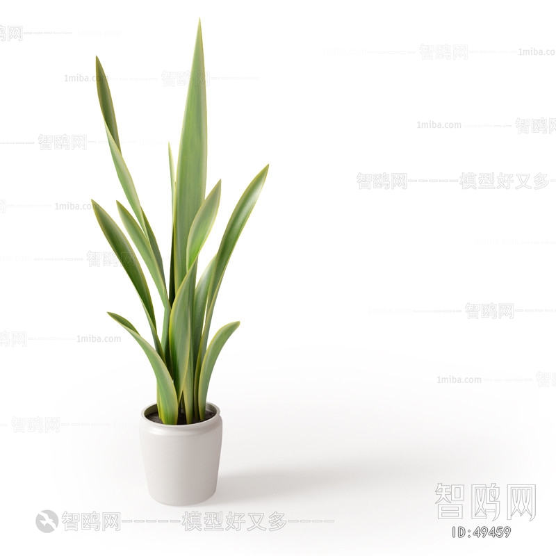 Modern Potted Green Plant