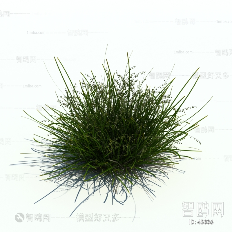 Modern Tree/shrub/grass