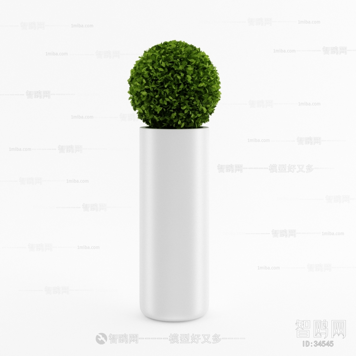 Modern Potted Green Plant