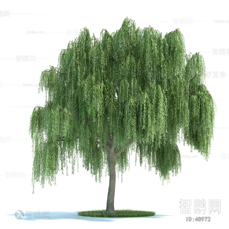 Modern Tree/shrub/grass
