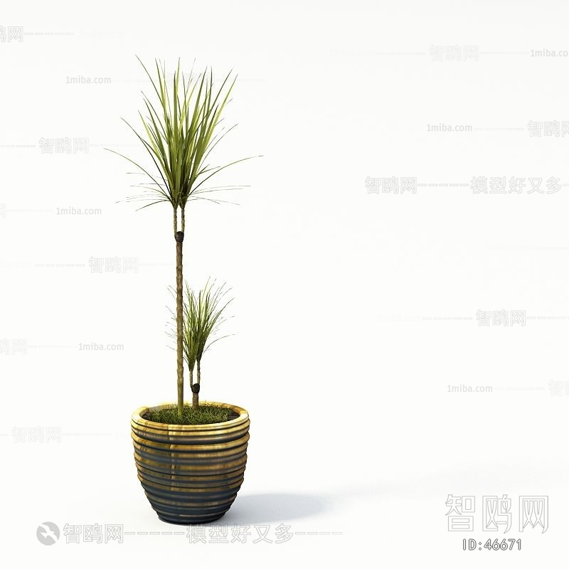 Modern Potted Green Plant