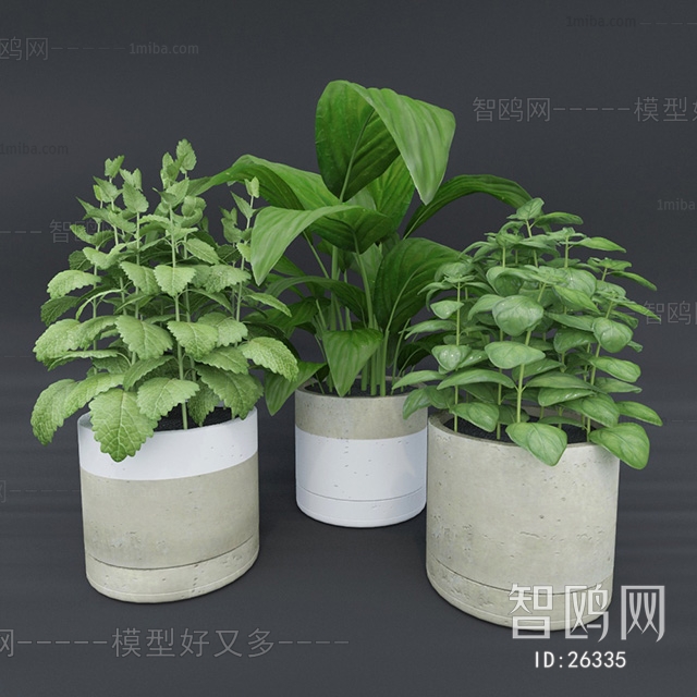 Modern Potted Green Plant