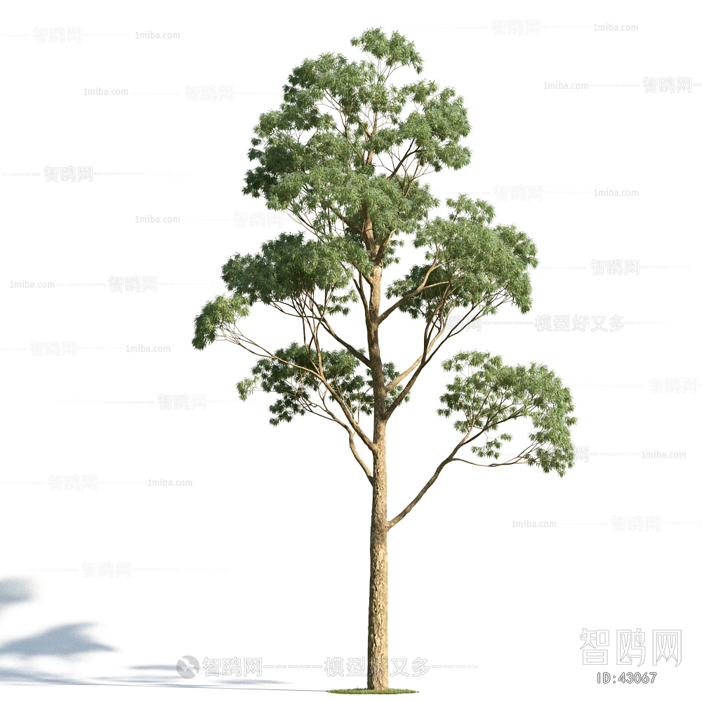 Modern Tree/shrub/grass