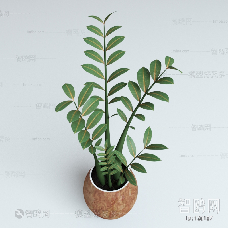 Modern Potted Green Plant