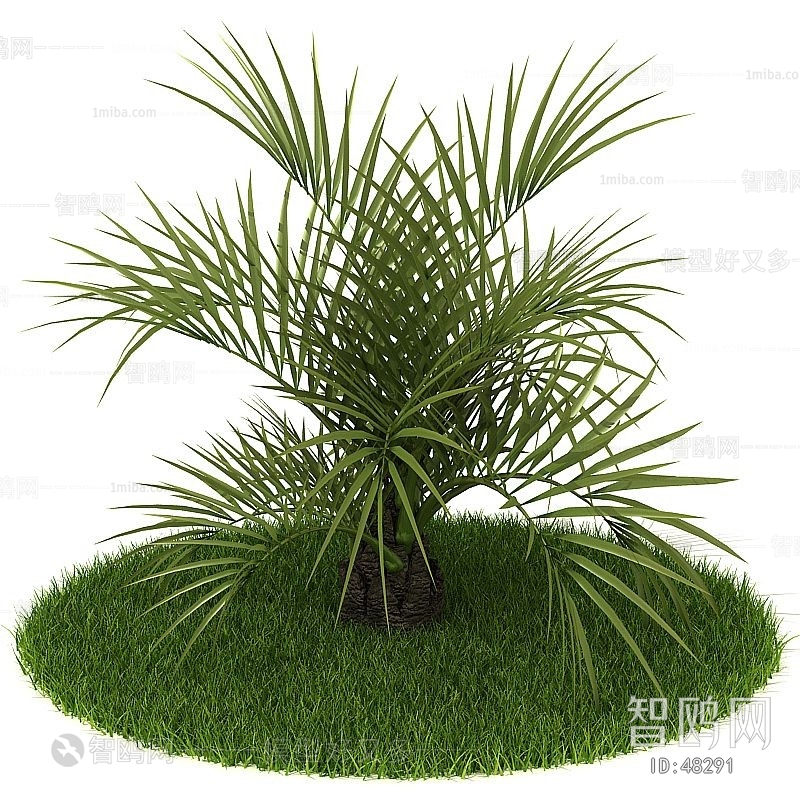 Modern Tree/shrub/grass