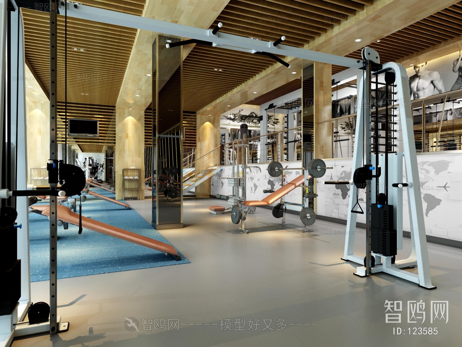 Modern Gym