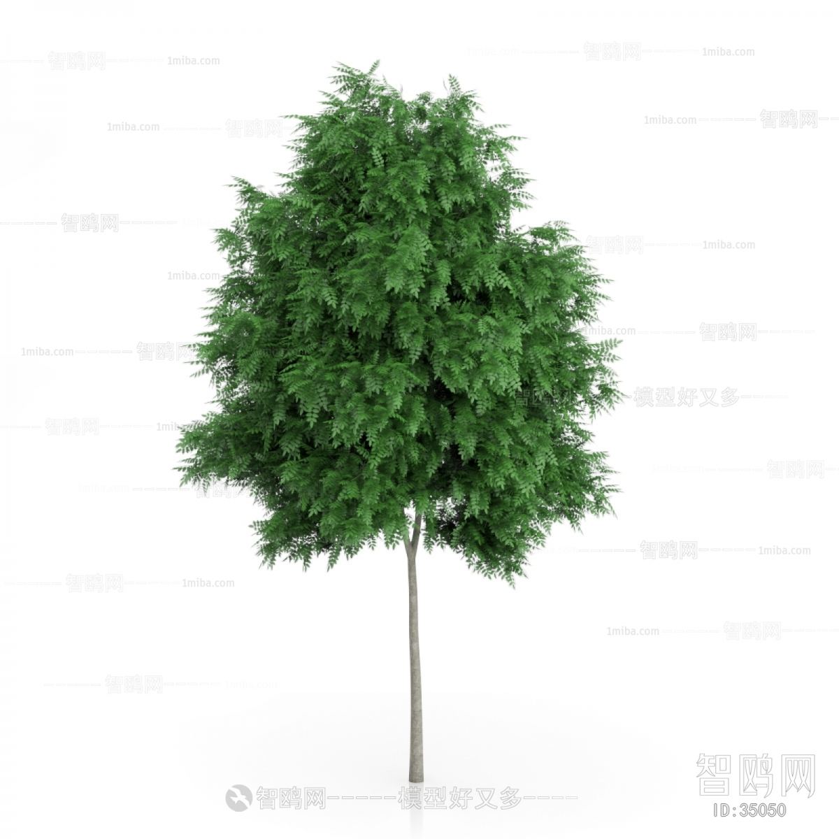 Modern Tree/shrub/grass