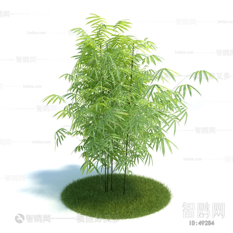 Modern Tree/shrub/grass