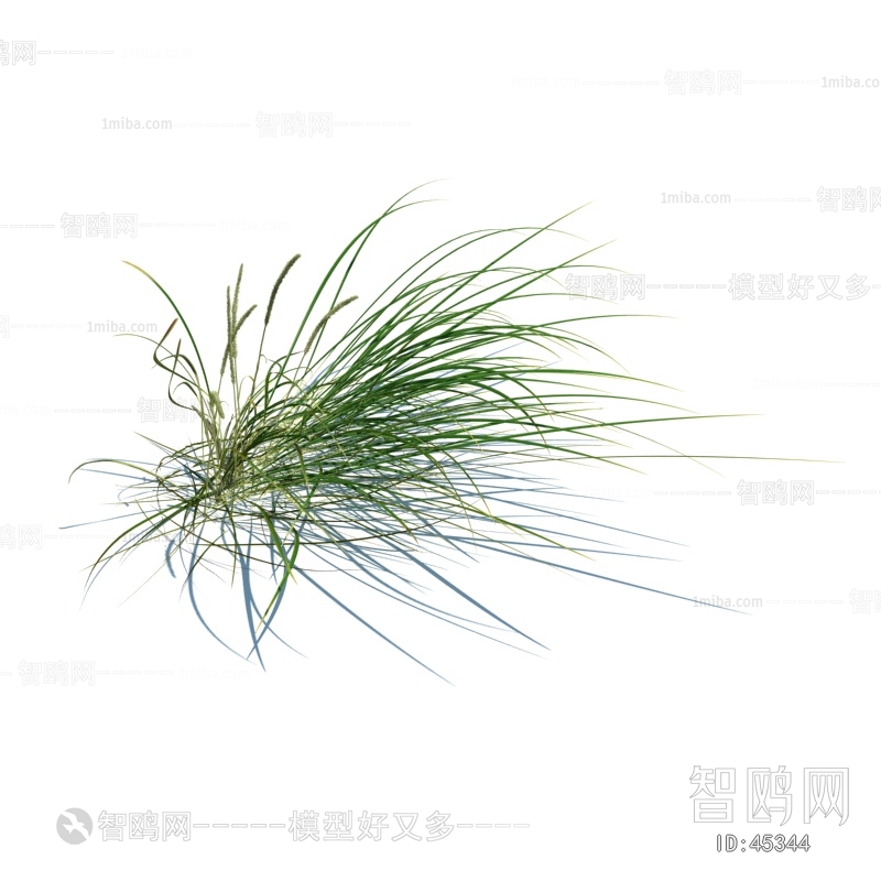 Modern Tree/shrub/grass