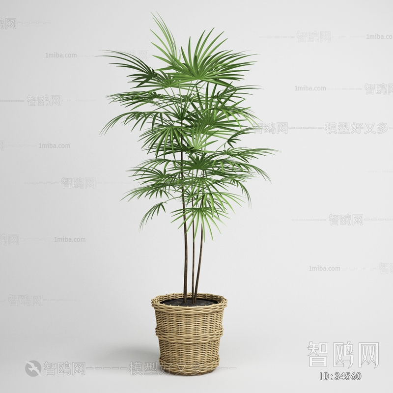 Modern Potted Green Plant