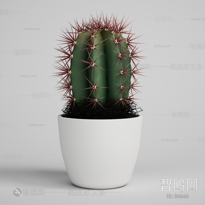 Modern Potted Green Plant