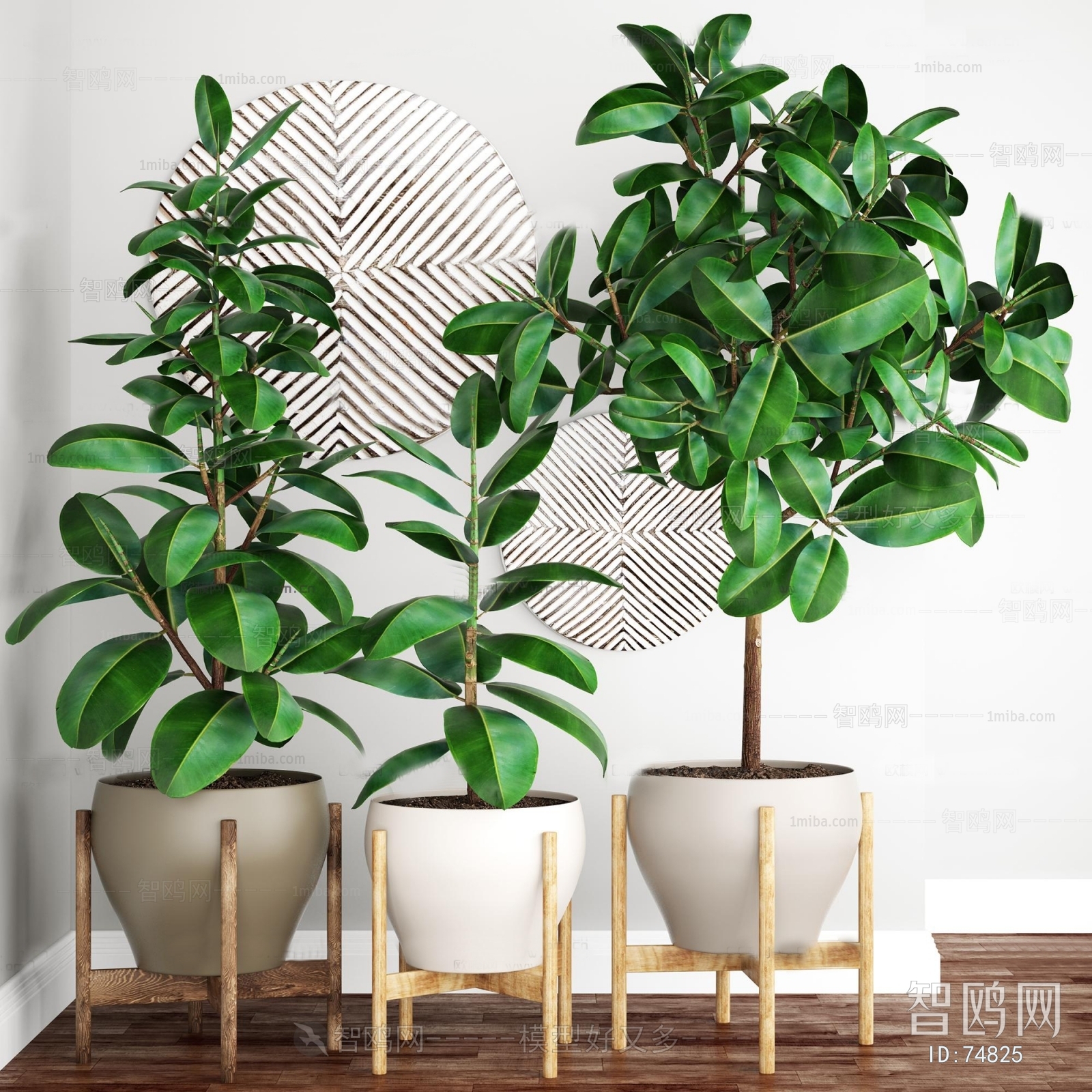 Modern Nordic Style Potted Green Plant