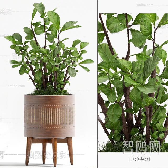 Modern Nordic Style Potted Green Plant