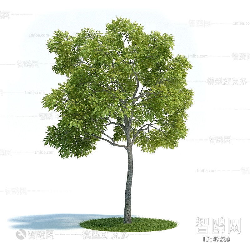 Modern Tree/shrub/grass