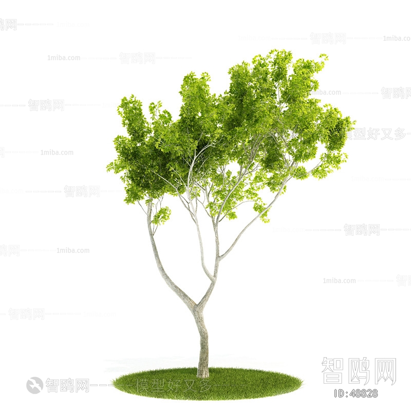 Modern Tree/shrub/grass