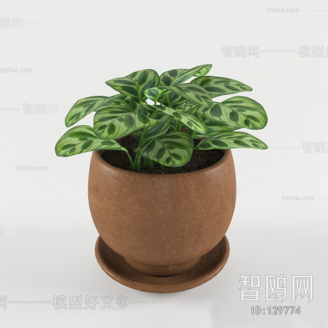 Modern Potted Green Plant