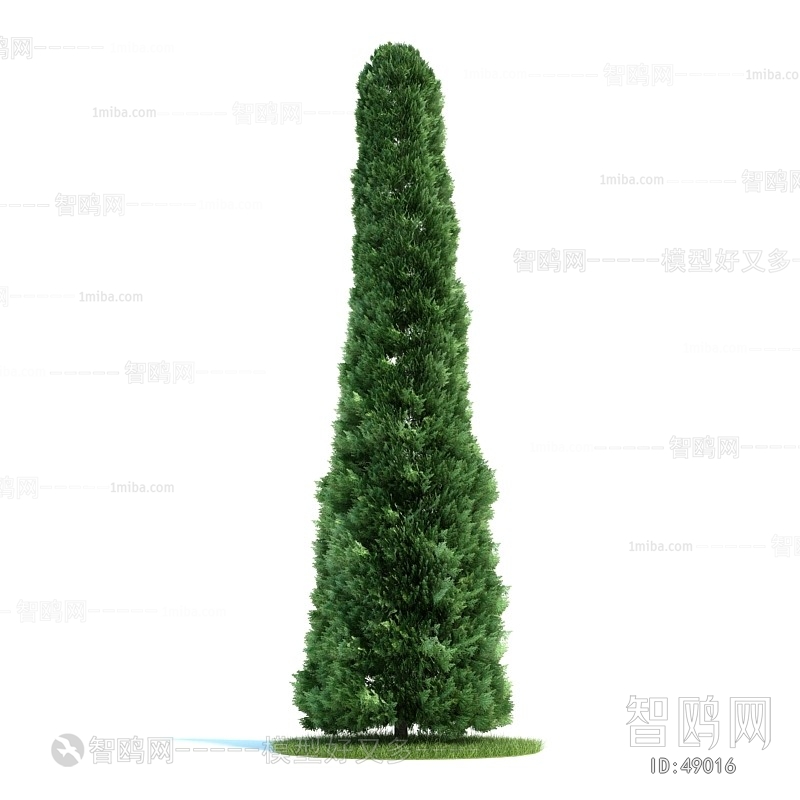 Modern Tree/shrub/grass