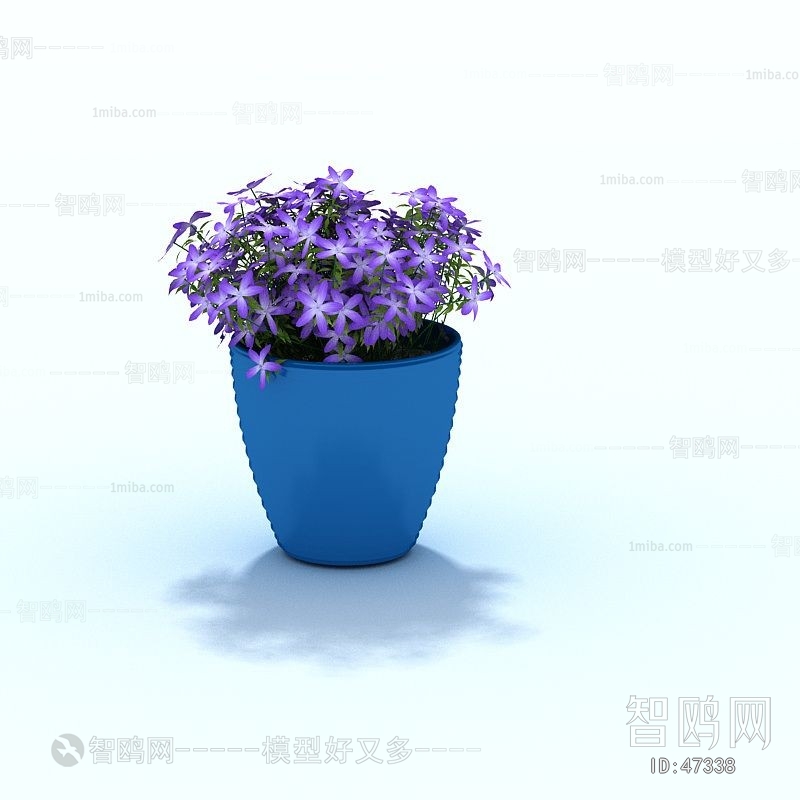 Modern Flowers