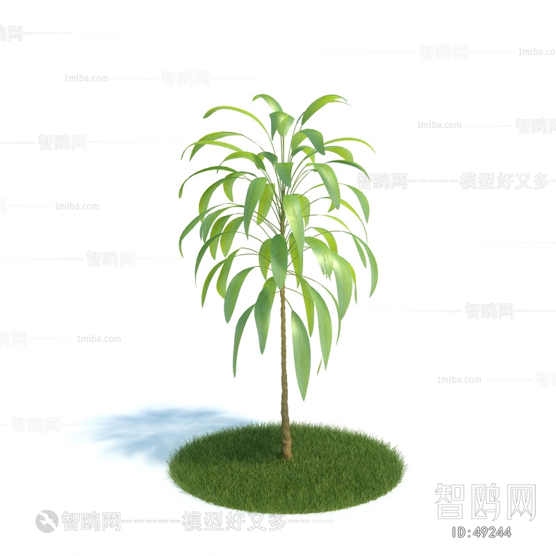 Modern Tree/shrub/grass