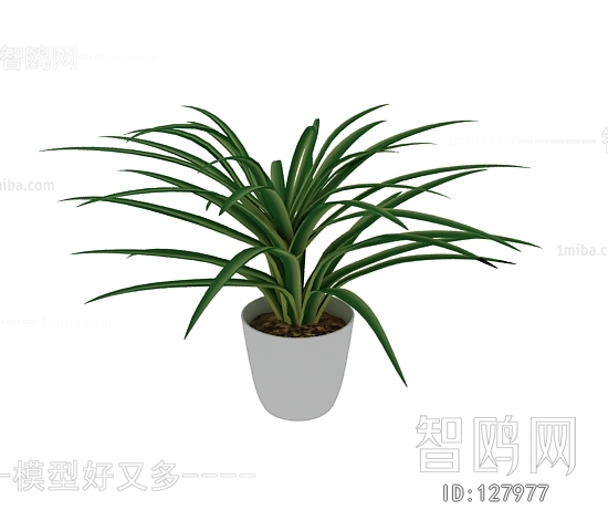 Modern Potted Green Plant