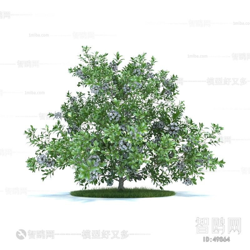 Modern Tree/shrub/grass