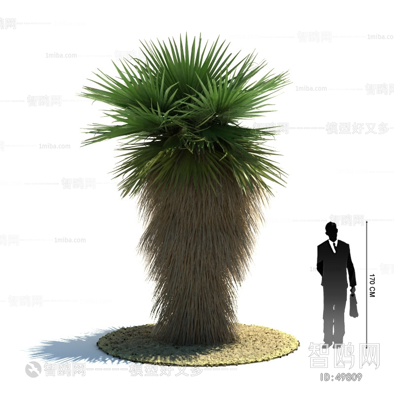 Modern Tree/shrub/grass