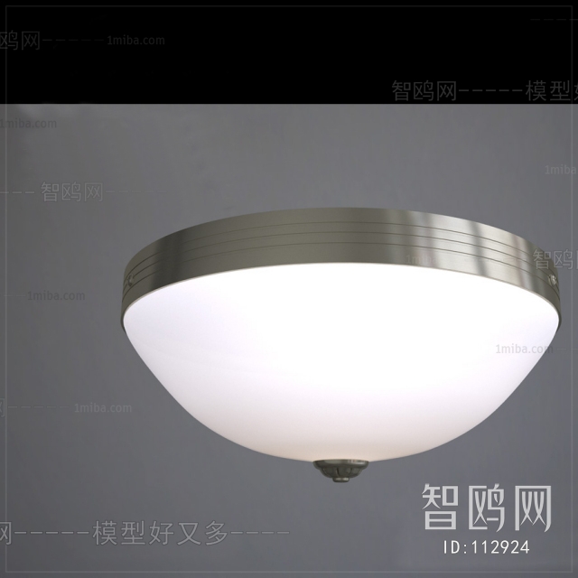 Modern Ceiling Ceiling Lamp